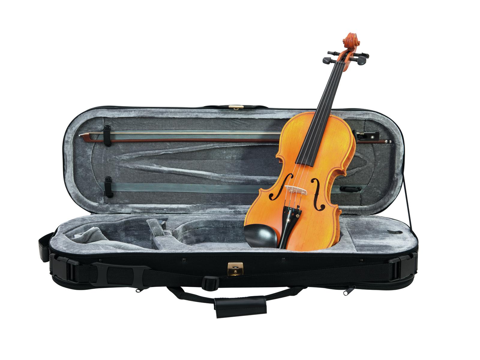 10: DiMavery Violin Semi-pro 4/4