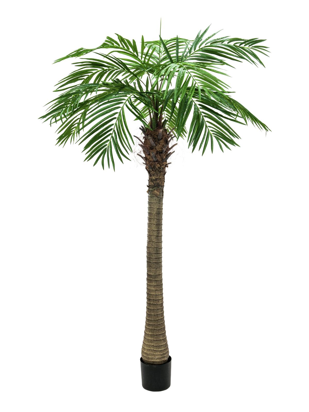 Se Kunstig Phoenix Palmetræ Luxor (300cm) hos SoundStoreXL.dk