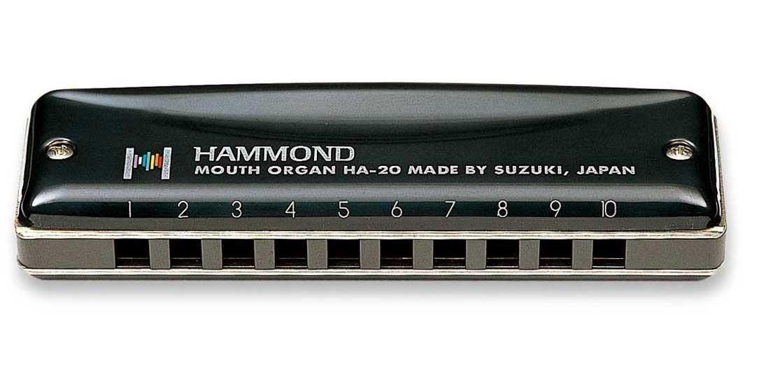 2: Hammond HA-20 Mundharmonika (G)