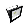 Eurolite UV LED FL-50 COB Ip65 50 Watt 