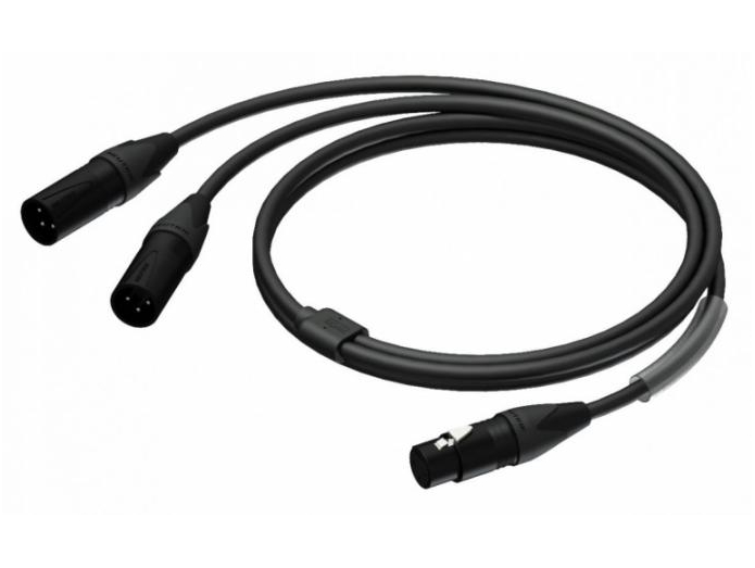 skrive Berolige Hjemløs PROCAB Y-Split kabel XLR HUN > 2 X XLR HAN 1,5 METER - XLR kabel -  DrumCity.dk
