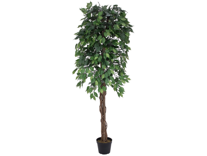 Artificial multi-stemmed fig tree, 180cm