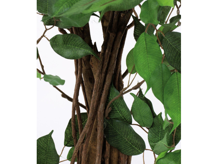 Artificial multi-stemmed fig tree, 210cm