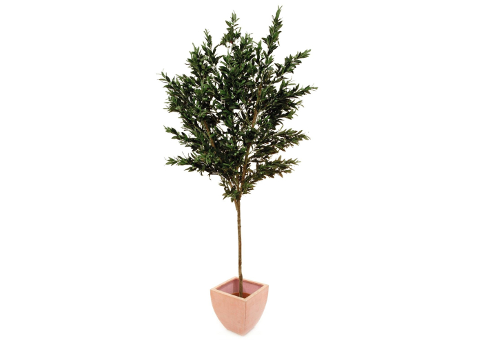 Kunstig oliventræ med frugt, 250cm