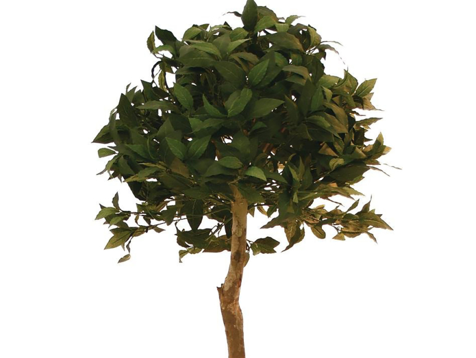 Kunstigt laurbærtræ, 180cm