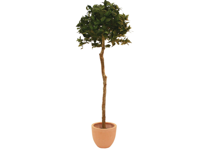 Kunstigt Laurbærtræ (180cm)