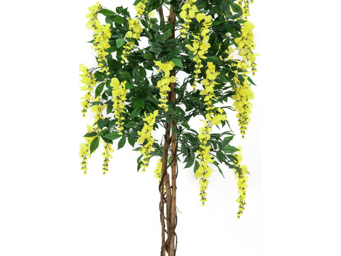 Keinotekoinen wisteria, keltainen, 150cm.