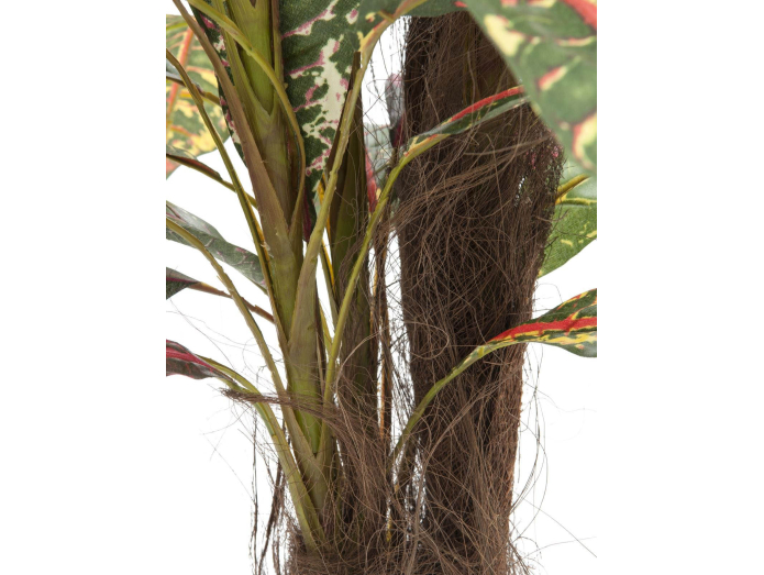 Artificial croton with coconut stem, 180cm