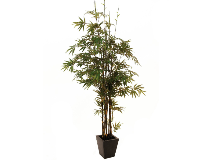 Kunstig  Bambus, sort stamme, 240 cm
