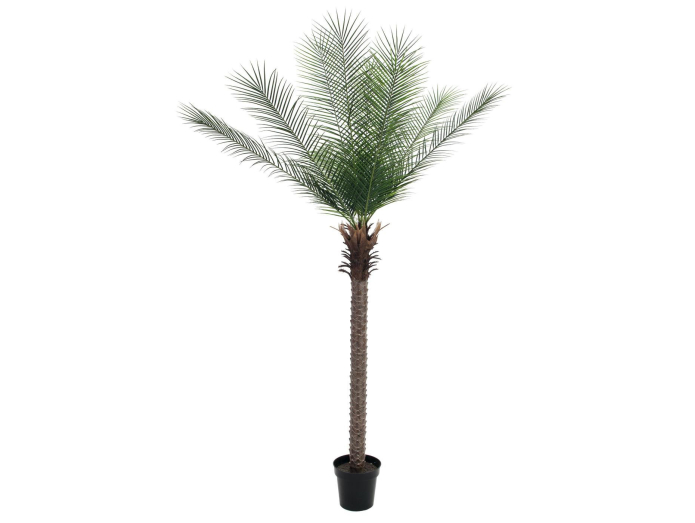 Artificial date palm, deluxe, 220cm