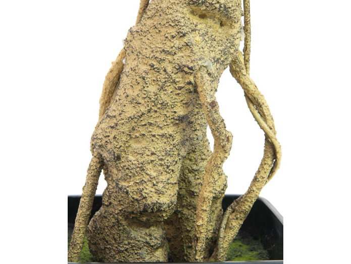 Keinotekoinen eteläinen marjakuusi, 115cm