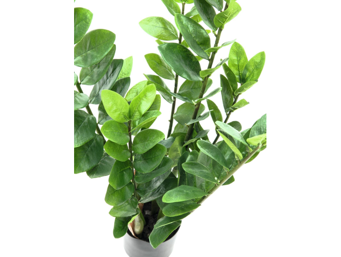 Keinotekoinen Zamifolia, 70cm