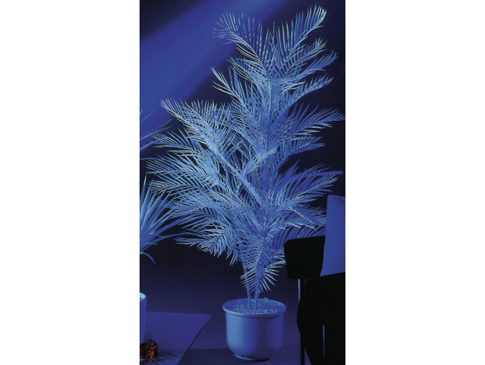 Keinotekoinen Kentia palmu, UV valkoinen, 90cm