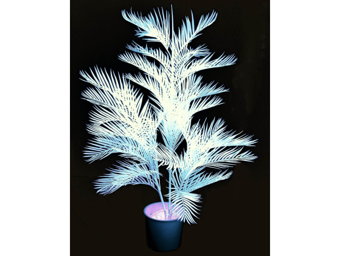 Keinotekoinen Kentia palmu, UV valkoinen, 170cm