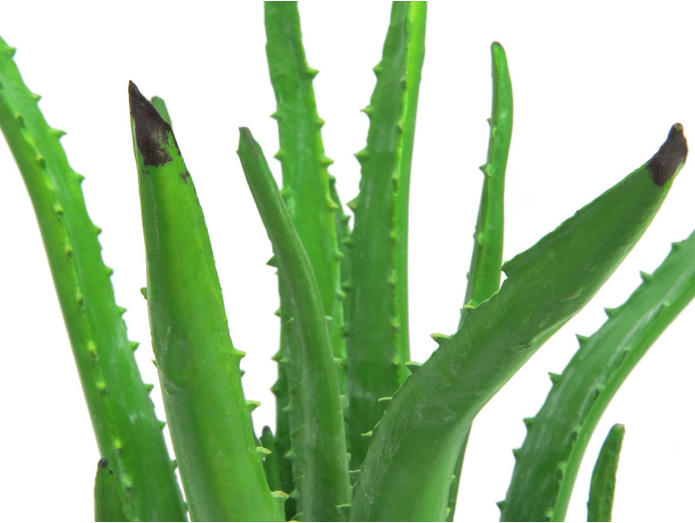 Kunstige Aloe Vera planter, 63 cm