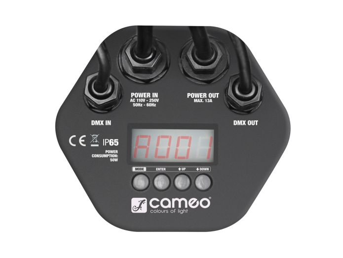 Cameo Outdoor PAR Lampe RGB IP65 (12x3W)