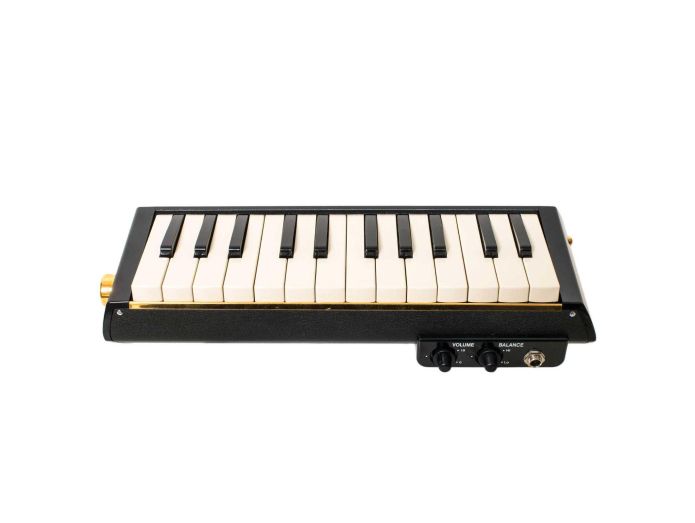 Hammond PRO-24B Bas Melodica (Sort)