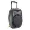 Ibiza PORT15VHF-MKII-TWS Portable Speaker (800W)