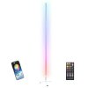 Ibiza Magic Color Stick RGB Floor Light (White)