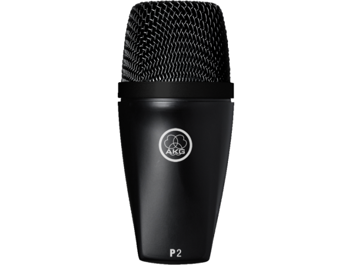 AKG Perception P2 Dynamic Instrument Microphone