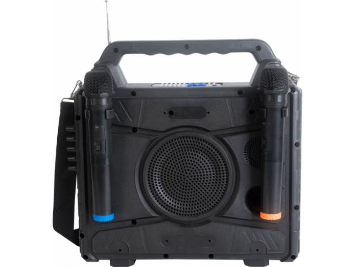 Portable karaoke speaker with screen and 2 microphones | We match the price  | SoundStoreXL