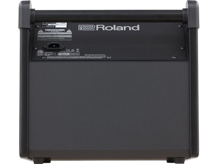 Roland PM-100 Monitor