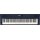 Roland GO:KEYS 3 Keyboard (Midnight Blue)