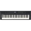 Roland GO:KEYS 5 Keyboard (Graphite)