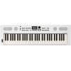 Roland GO:KEYS 5 Keyboard (White)