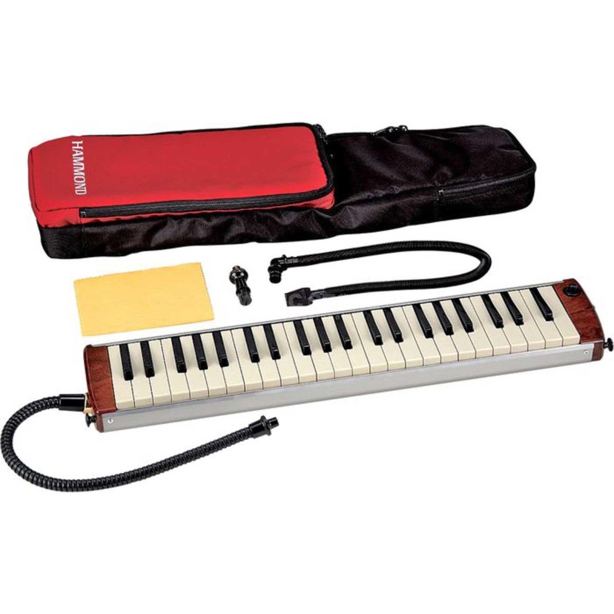 Hammond melodica store