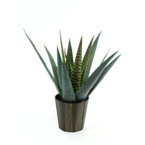 Artificial agaves