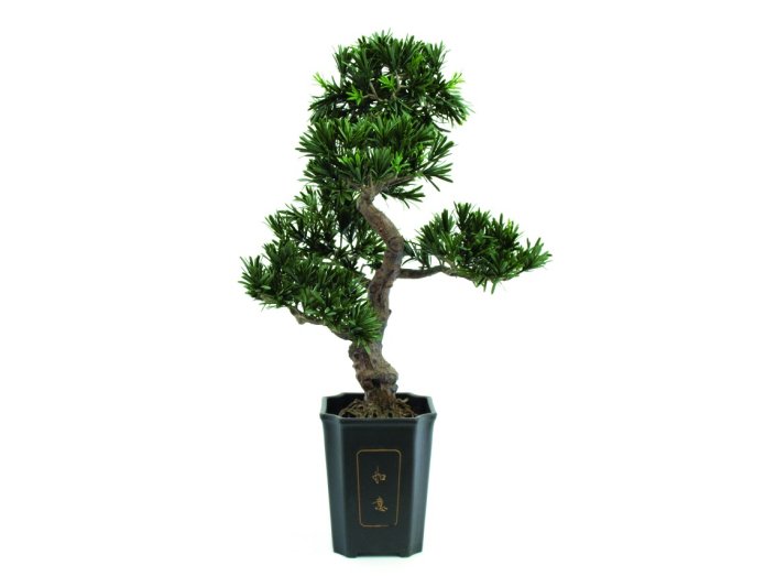 Kunstig Bonsai podocarpus, 80 cm