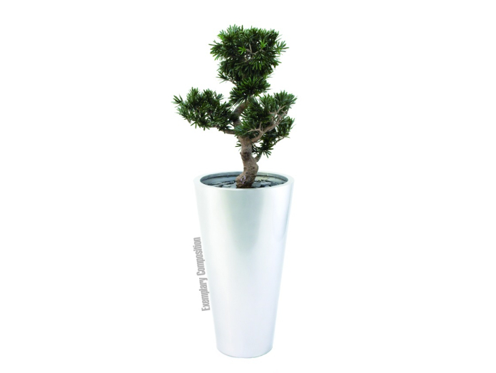 Kunstig Bonsai podocarpus, 80 cm