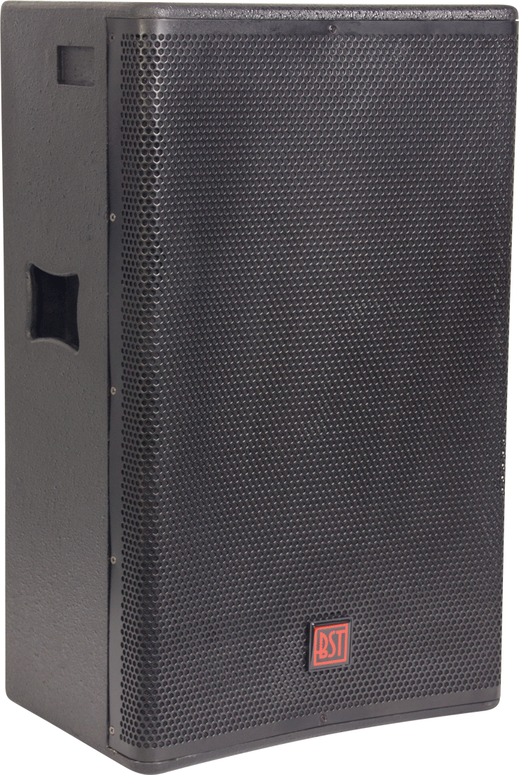 skam Uensartet Klasseværelse BST SP15 15" passiv højttaler 600 Watts - Passive højttalere - DJ-udstyr.dk